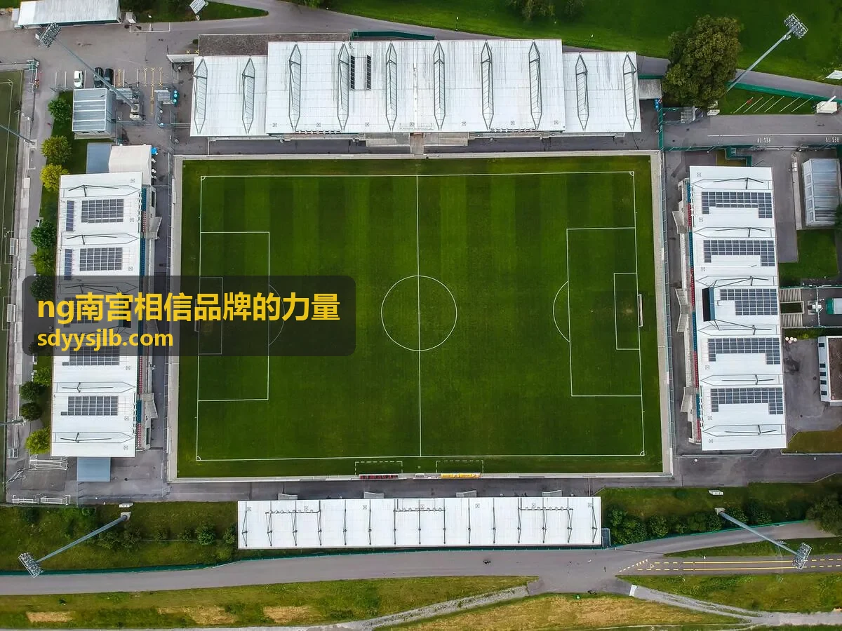 ng南宫相信品牌的力量 服务条款逐条对照表